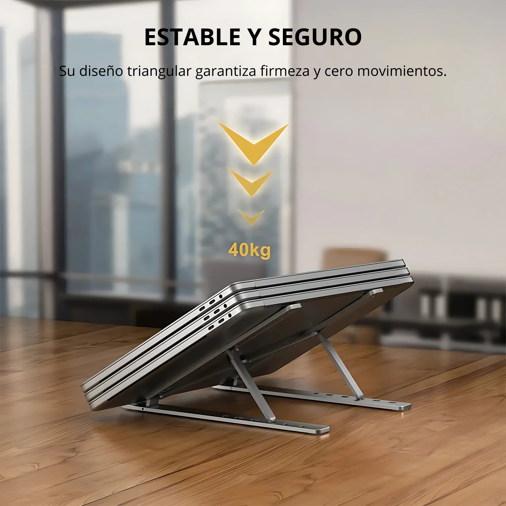 ErgoLift Pro